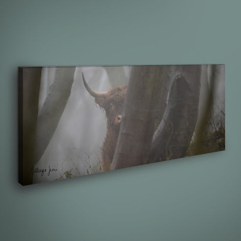 PANORAMIC - MISTIC MEG - 1.2m x 50cm